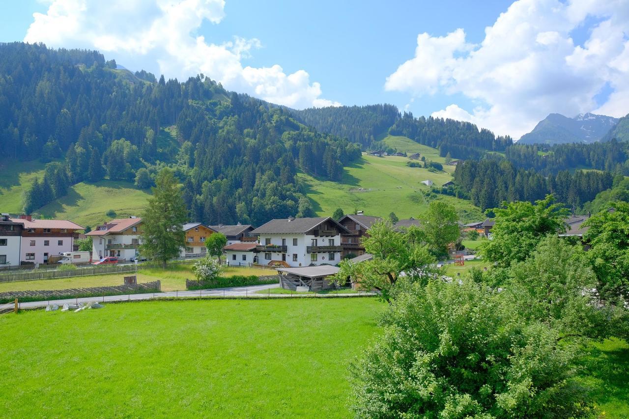 Alpin Penthouse Hollersbach Daire Hollersbach im Pinzgau Dış mekan fotoğraf